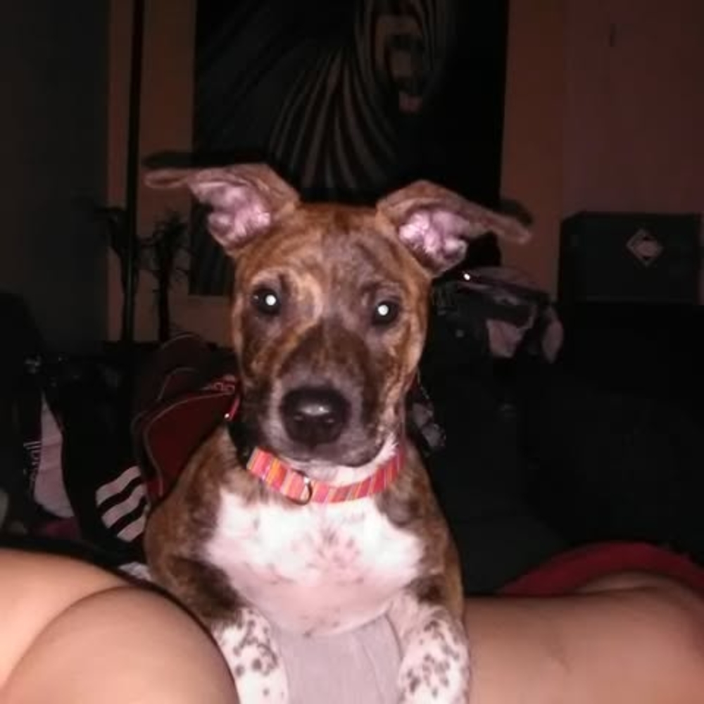 Meet your Posher, Mrz